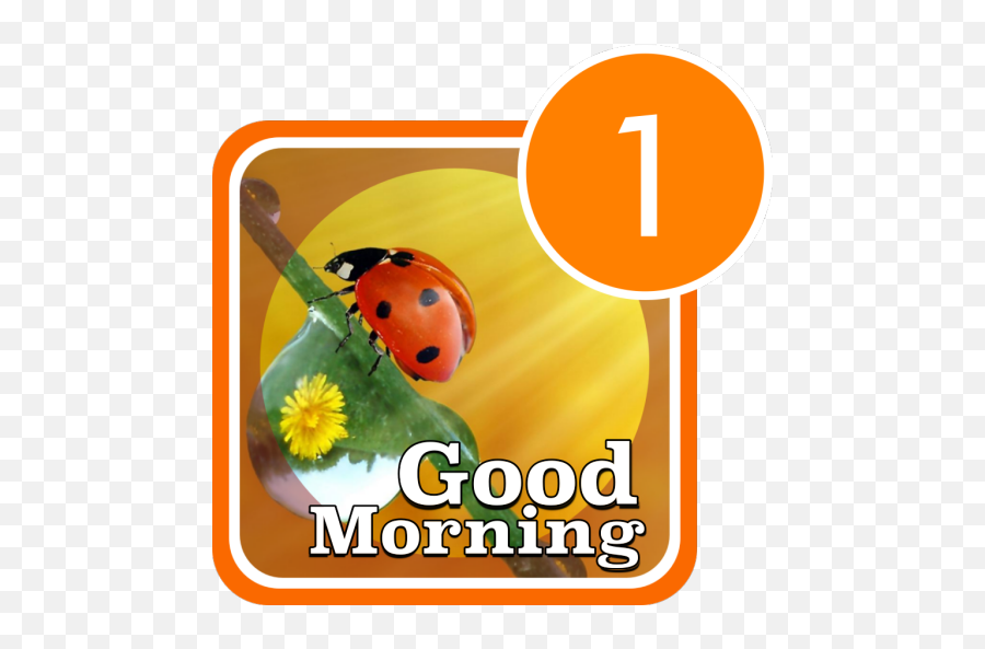 Good Morning Happy Day 6 - Grand Portage State Park Emoji,Good Morning Emojis