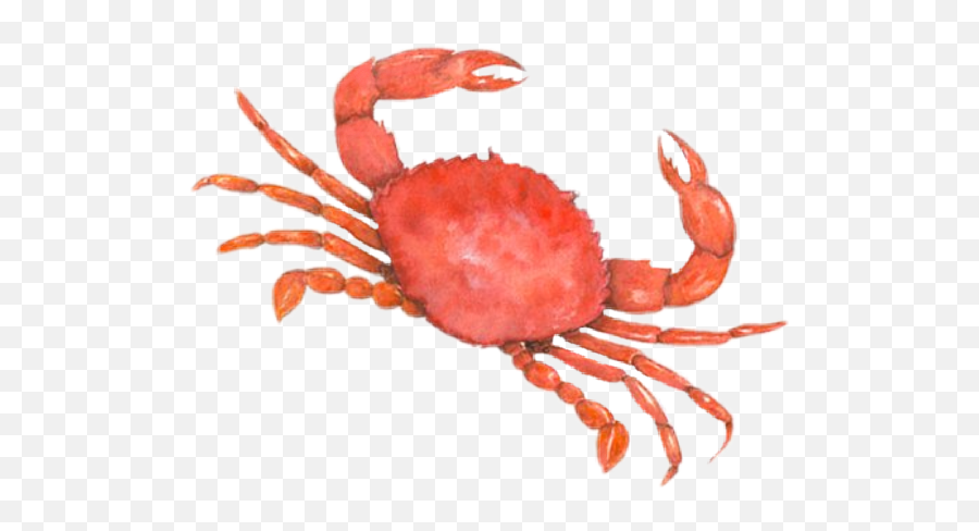 And Trending Crab Stickers - Cangrejo Y Jaiba Emoji,Crab Rave Emoji