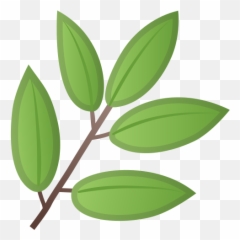 Herb Emoji - Emoji Herbe Png,Plant Emoji