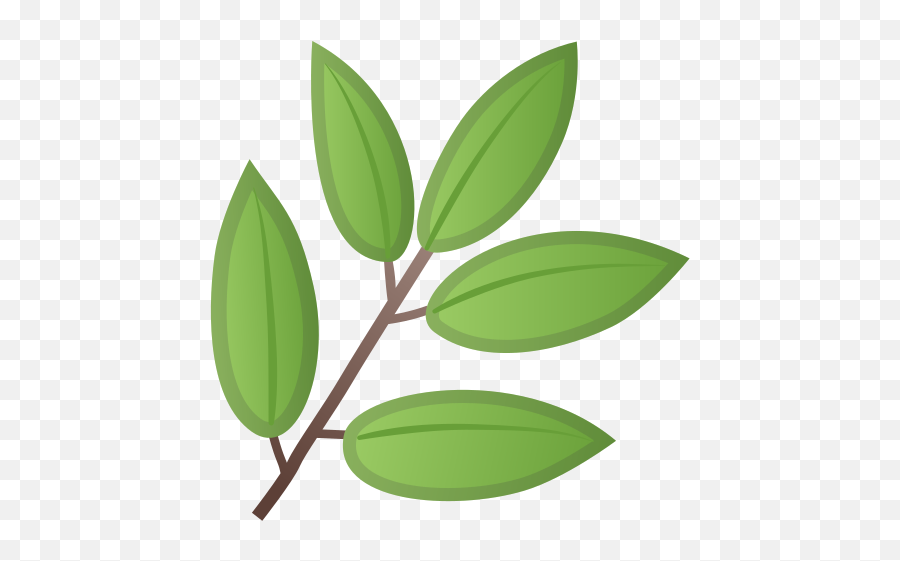 Herb Emoji - Emoji Herbe Png,Plant Emoji
