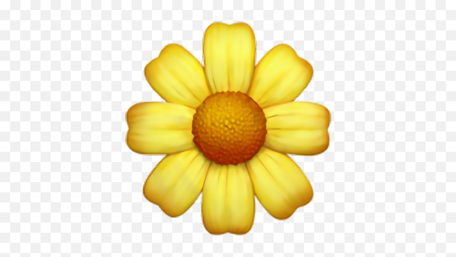 Flower Emoji Png Flower Emoji Png Transparent Free For - Yellow Flower Emoji Png,Cherry Blossom Emoji