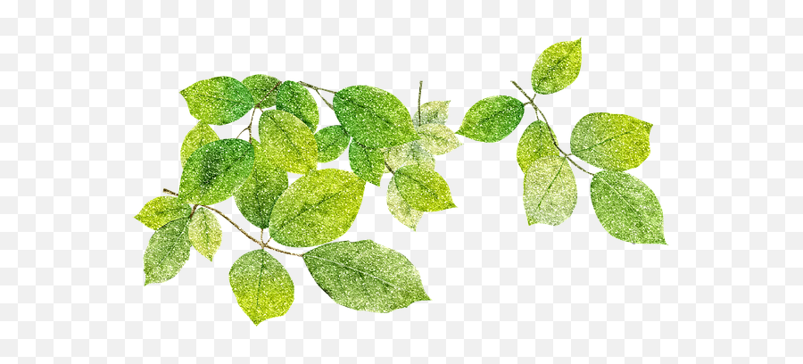 100 Free Greenery U0026 Nature Illustrations - Pixabay Portable Network Graphics Emoji,Leaves Emoji