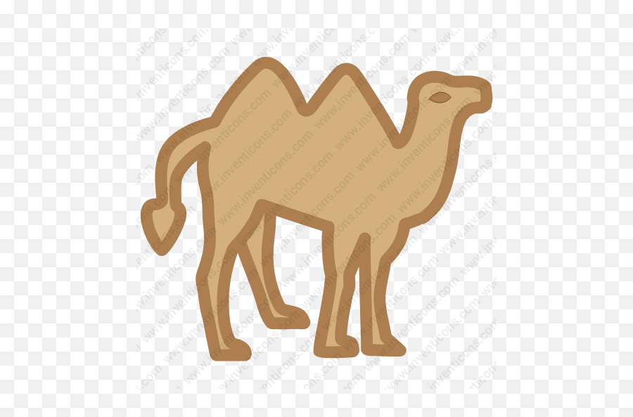 The Best Free Camel Icon Images - Arabian Camel Emoji,Camel Emoji