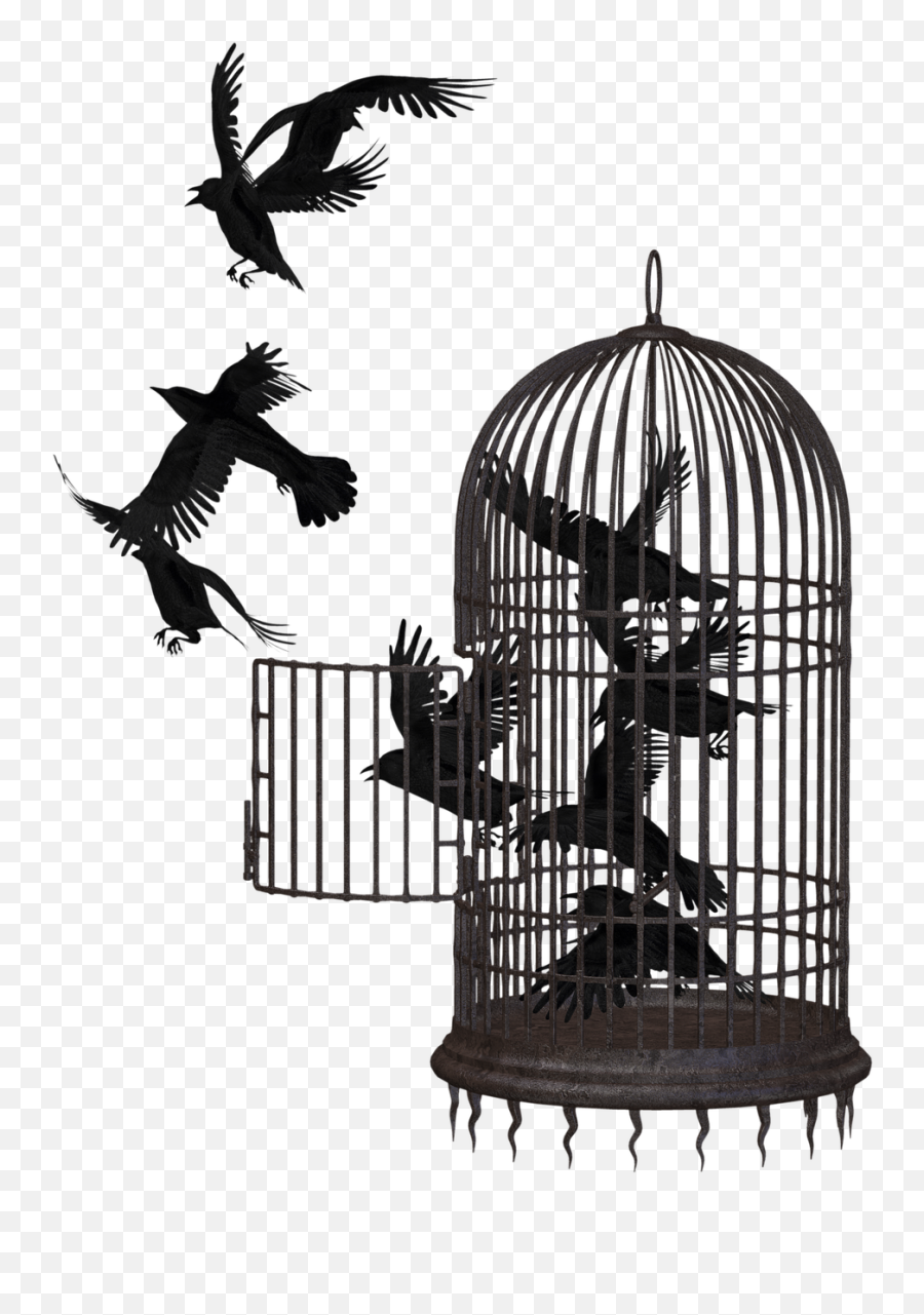 Crow Bird Cage Cage Bird Animal Emoji,Raven Bird Emoji