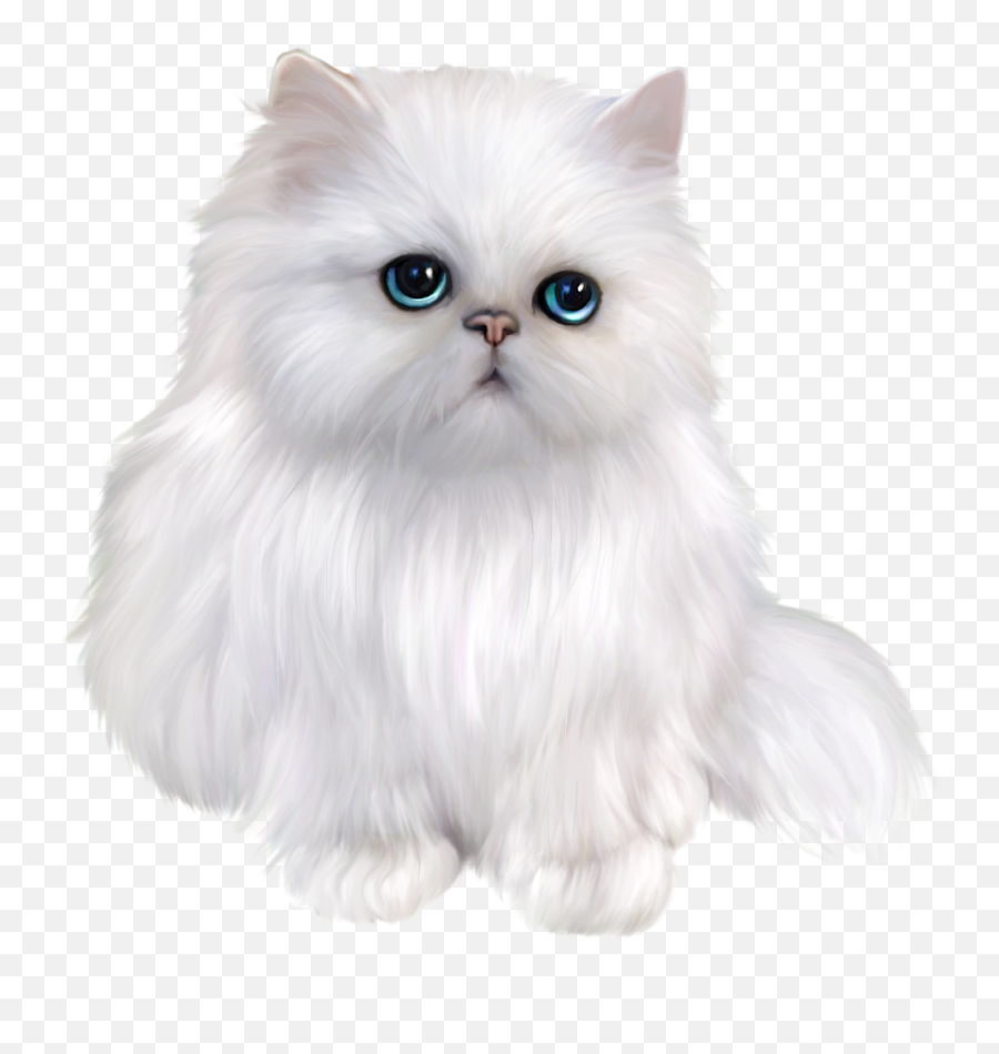 Library Of Cat Clip Library Stock Middle Finger Png Files - White Transparent Background Cat Png Emoji,Cat Heart Emoji Meme