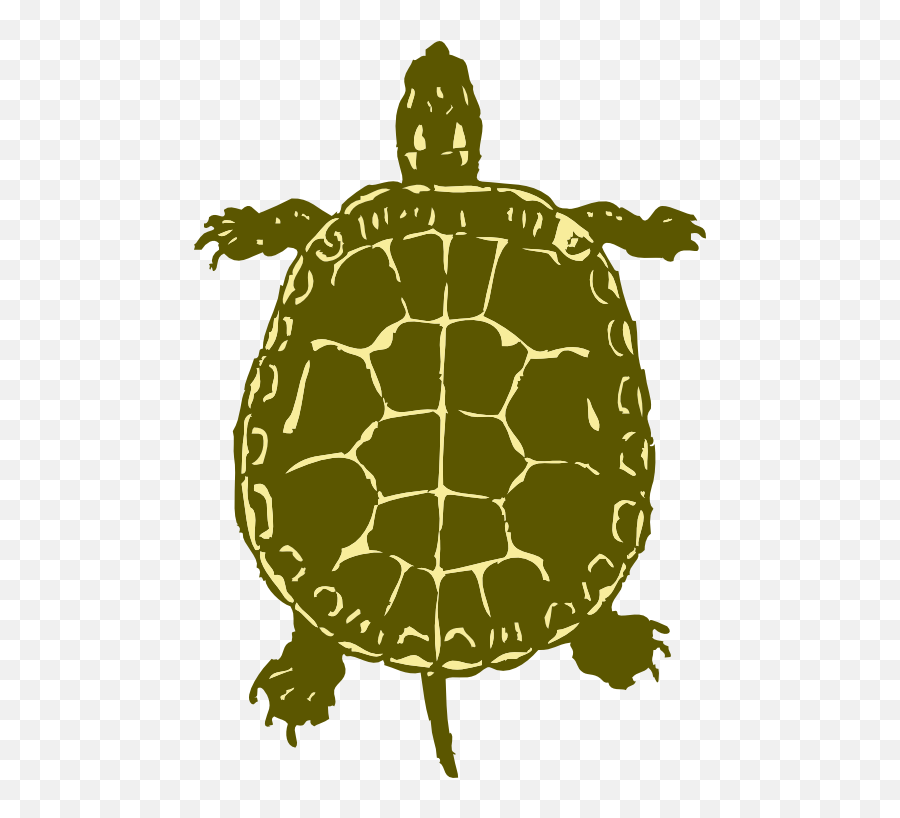 Turtle Clipart I2clipart - Royalty Free Public Domain Clipart Turtle Clip Art Emoji,Turtle Emoticons