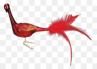 Christmas Is For The Birds - Putti Fine Furnishings Animal Product Emoji,Cardinal Bird Emoji
