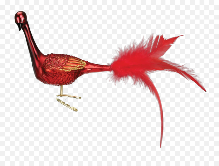 Christmas Is For The Birds - Putti Fine Furnishings Animal Product Emoji,Cardinal Bird Emoji