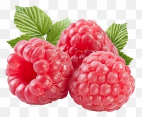 Download Free Png Raspberry Png - Raspberry Png Emoji,Raspberries Emoticon