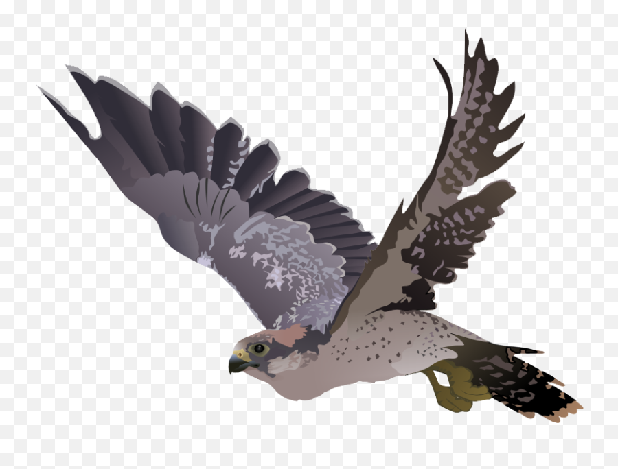 Falcon Clipart 6 - Cartoon Falcon Transparent Background Emoji,Falcon Emoji
