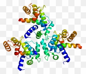 Protein Cacna1d Pdb 2be6 - Protein Structure Clipart Emoji,Air Jordan Emoji