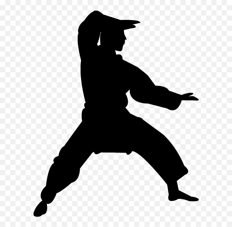 Chinese Martial Arts Karate Silhouette - Kung Fu Png Emoji,Karate Emoticons
