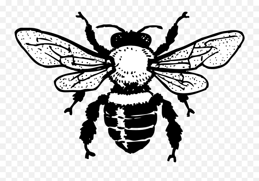 Queen Clipart Honeybee Queen Honeybee Transparent Free For - Realistic Bee Clip Art Black And White Emoji,Honey Bee Emoji