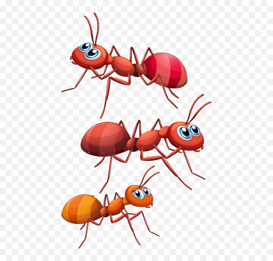 Ants Vector Carton Transparent Png Emoji,Zzz Ant Ladybug Ant Emoji
