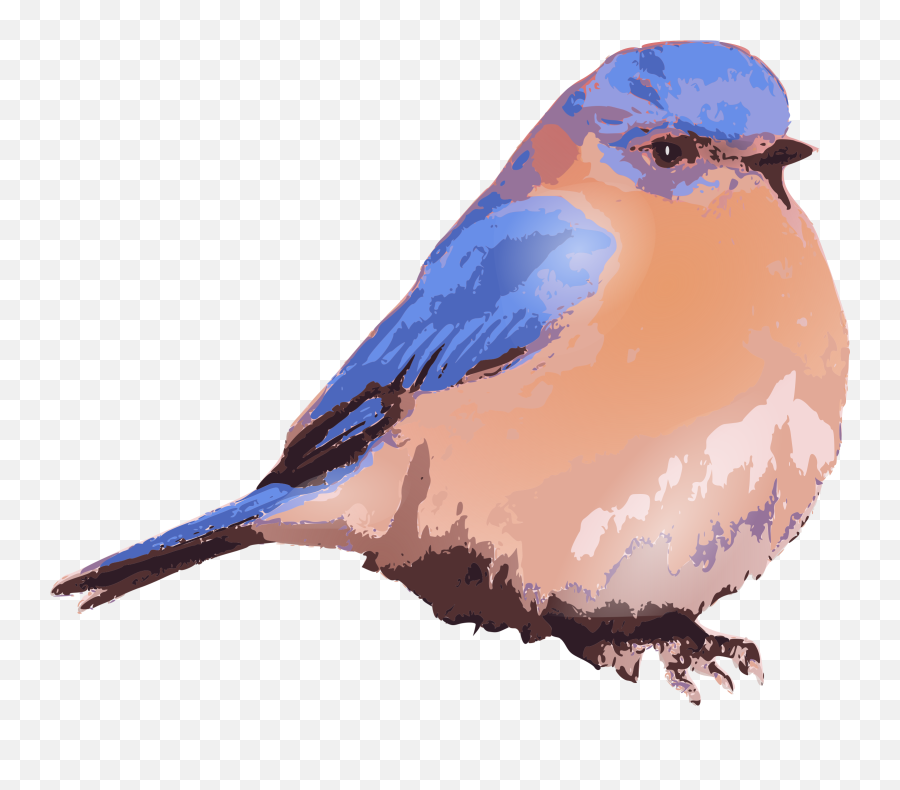 Blue Bird Transparent Png Clipart - Clip Art Eastern Bluebird Art Emoji,Bluebird Emoji