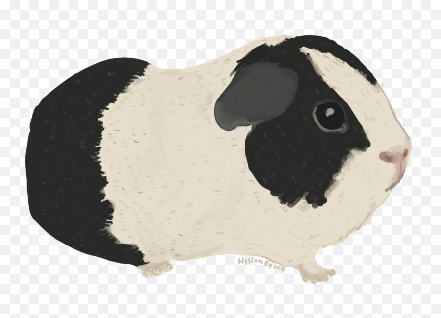Download Guinea Pig Hd Png Download - Uokplrs Livestock Emoji,Woman And Pig Emoji