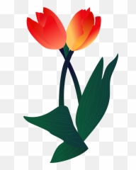 Plant Illustration Flower Png And - Vector Tulip Flower Illustration Png Emoji,Tulip Emoji