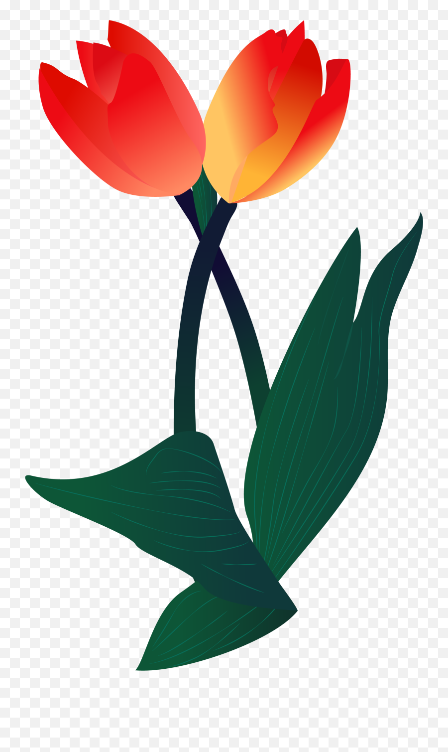 Plant Illustration Flower Png And - Vector Tulip Flower Illustration Png Emoji,Tulip Emoji