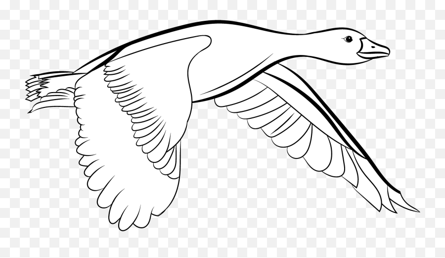 Goose In Flight Clipart Free Download Transparent Png - Duck Emoji,Hummingbird Emoji
