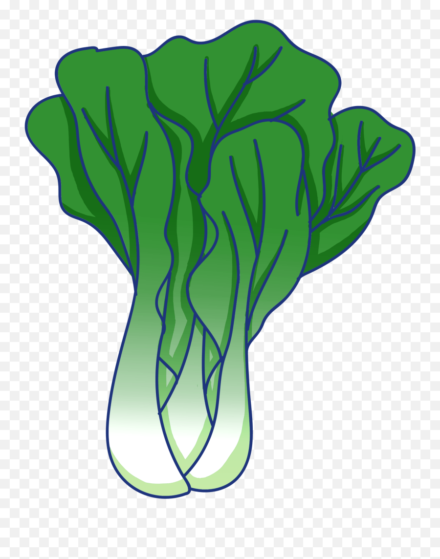 Vegetable Leaf Green Rapeseed Food Png - Vegetable Food Clipart Emoji,Cabbage Emoji