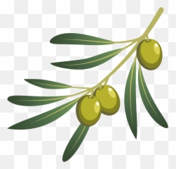 Olive Oil Branch - Transparent Png Emoji