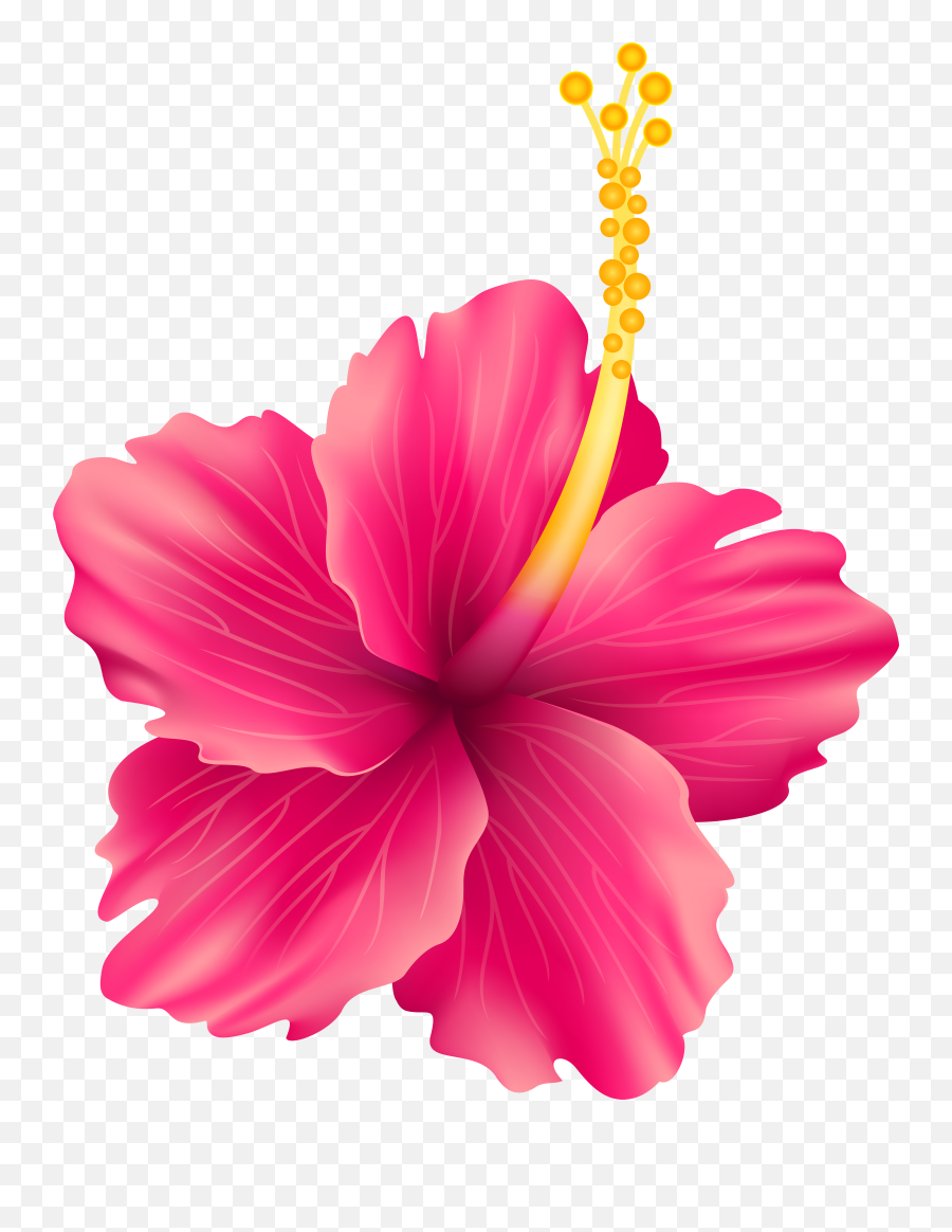 Hibiscus Clipart Island Flower Hibiscus Island Flower Emoji,Hibiscus Emoji