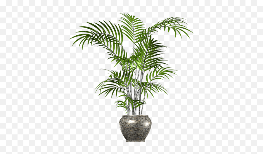 Download Palm Tree Png In Pot - Palm Tree In Pot Png Full Transparent Palm Plant Png Emoji,Pot Leaf Emoji