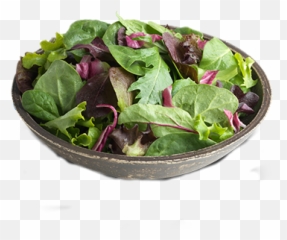 Spinach Salad Multicolored Bowl Food - Spinach Emoji,Emoji Salad