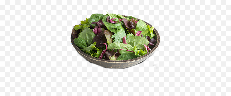 Spinach Salad Multicolored Bowl Food - Spinach Emoji,Emoji Salad