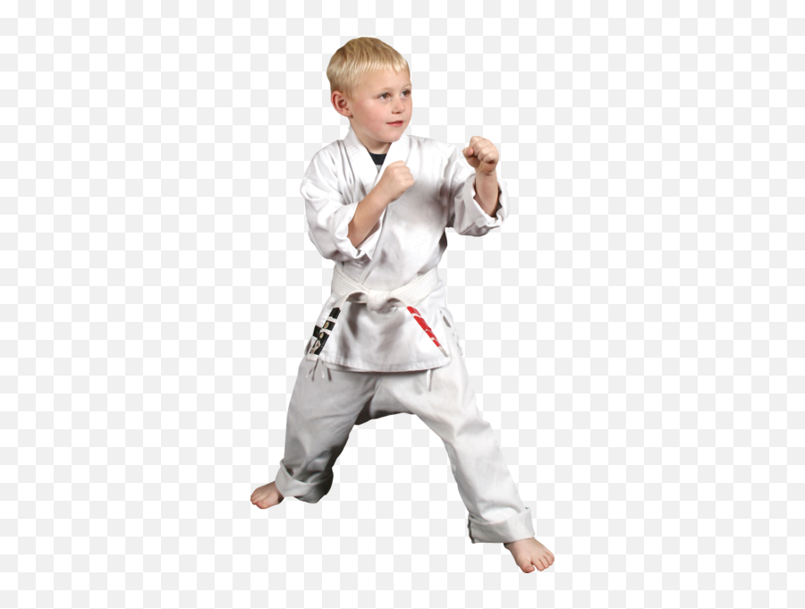 Karate Kid - Karate Child Png Emoji,Emoji Karate Kid