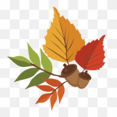 Maple Cute Fall Leaves Transparent U0026 Png Clipart Free - Cute Fall Leaves Clip Art Emoji,Fallen Leaf Emoji