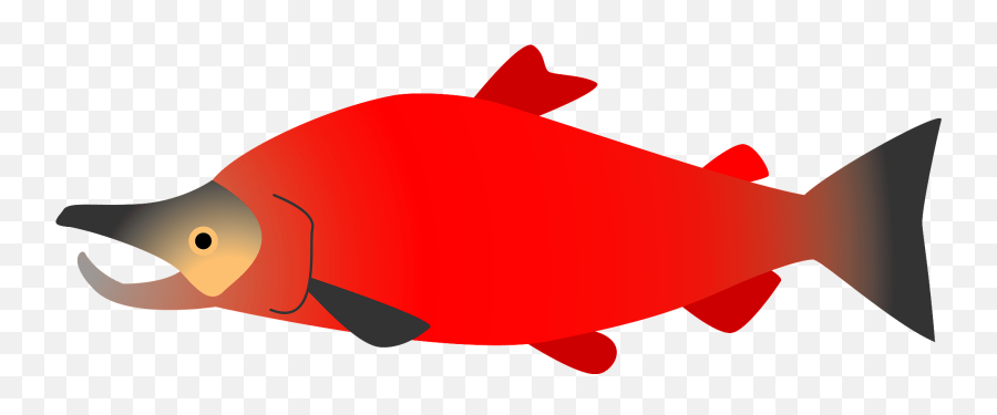 Sockeye Salmon Clipart Free Download Transparent Png - Fish Emoji,Salmon Emoji