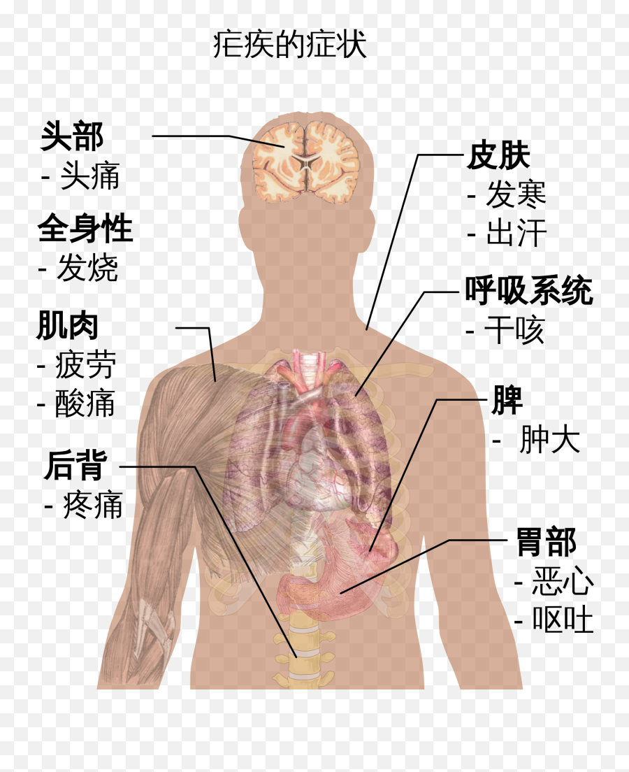 Parts Of The Body Affected By Malaria Emoji,Wu Tang Emoji