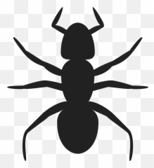 Ant Icon Transparent Png Clipart Free Download - Ant Clip Art Emoji,Ant Emoji