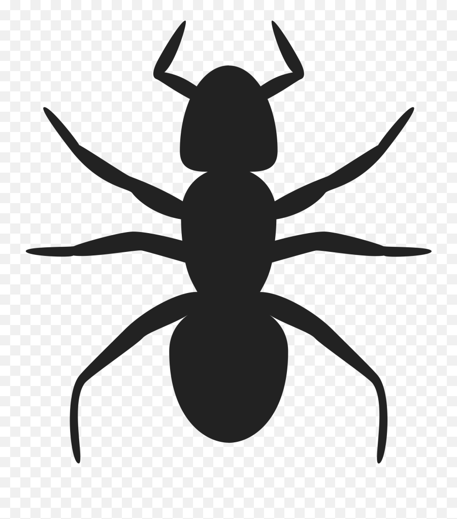 Ant Icon Transparent Png Clipart Free Download - Ant Clip Art Emoji,Ant Emoji