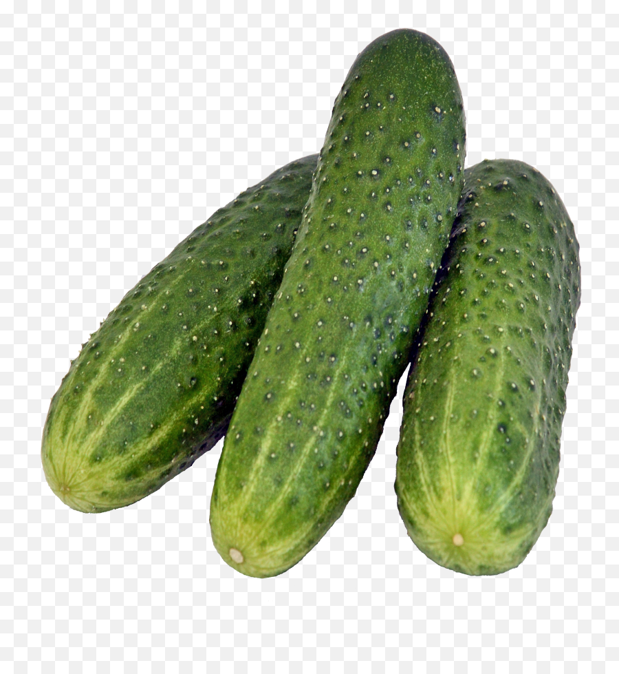Cucumber - Salatalk Png Emoji,Cucumber Emoji