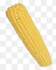 Best Corn On The Cob Background - Png Emoji