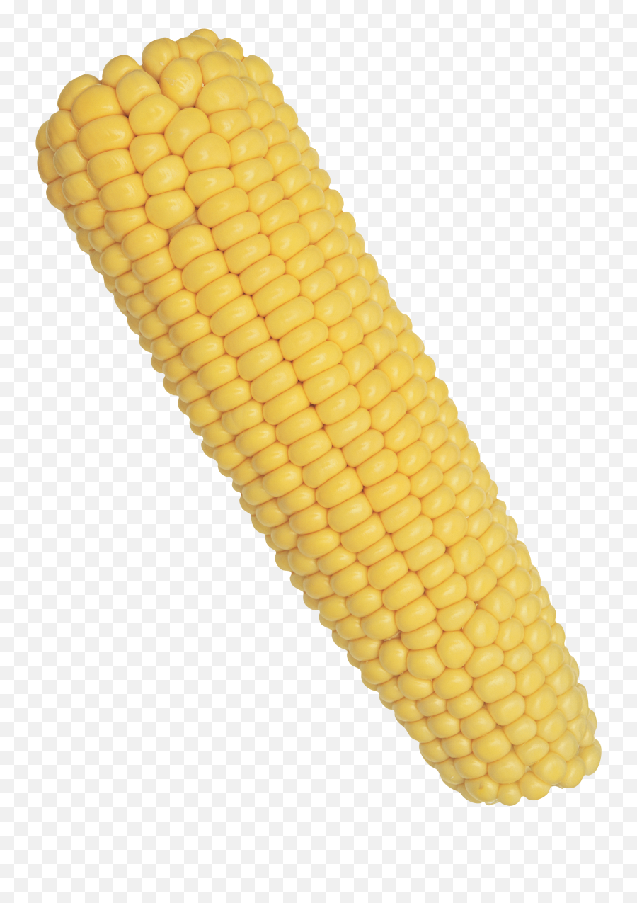 Best Corn On The Cob Background - Corn On The Cob Png Emoji,Emoji Corn