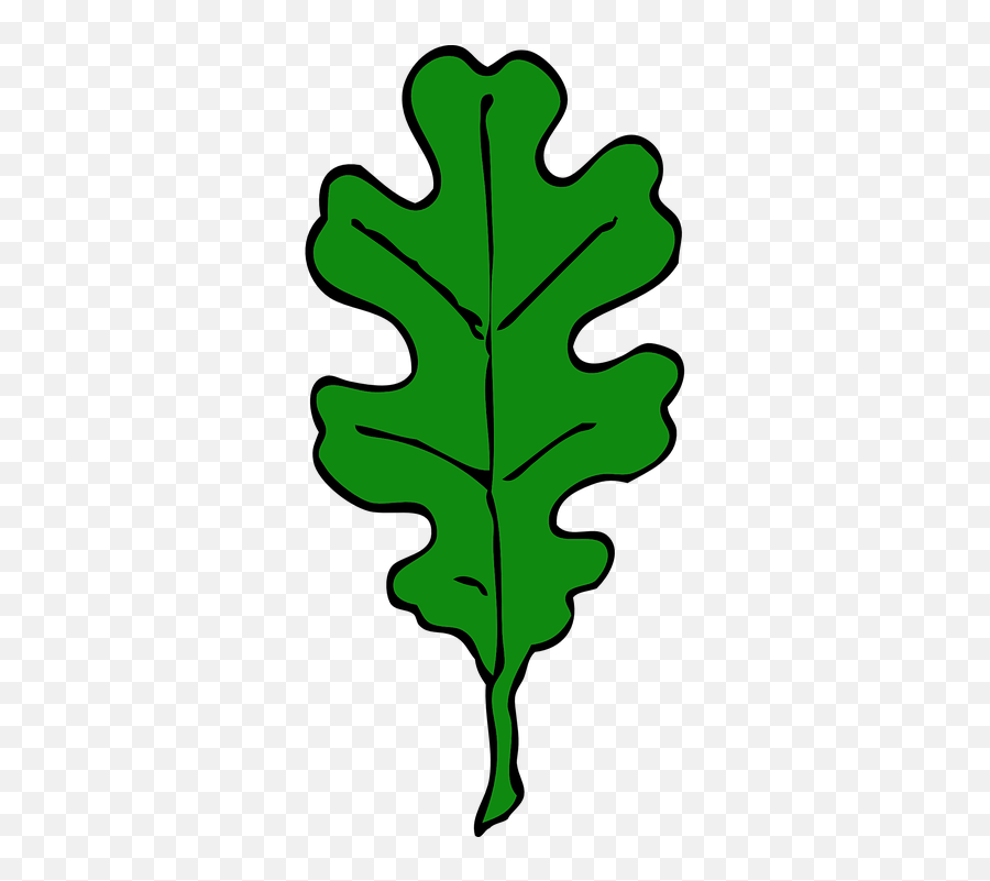 Free Oak Tree Vectors - Oak Leaf Cartoon Clipart Emoji,Maple Leaf Emoticon