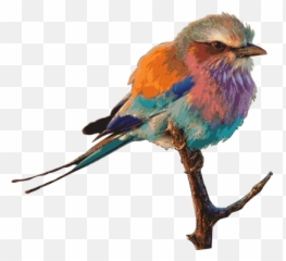 Free Digital Images Vintage Gif And - Colourful Bird Emoji