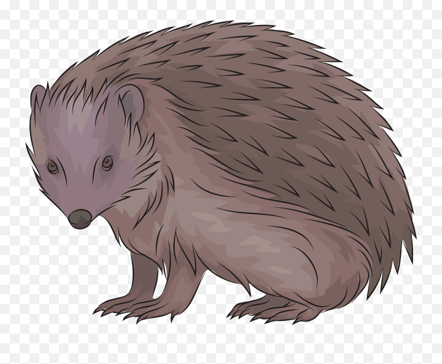 European Hedgehog Clipart - Igelclipart Emoji,Porcupine Emoji