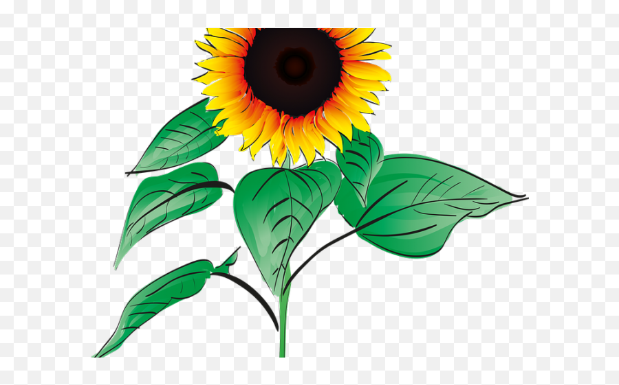 Sunflower Clipart Root - Sunflower Clipart With Roots Emoji,Iphone Emoji Root