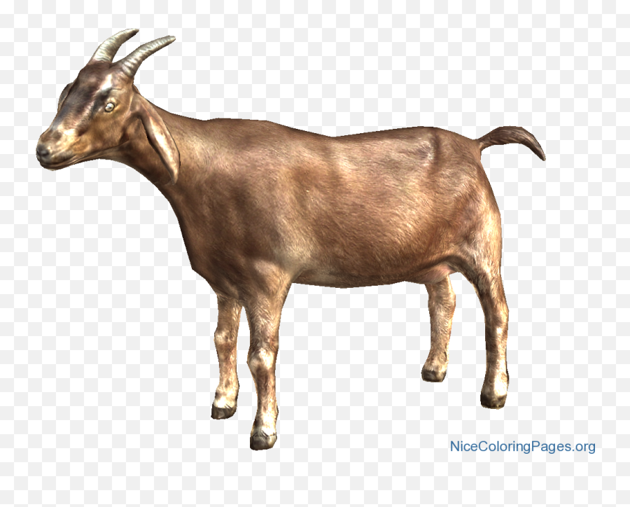 Goat Emoji Png Images Collection For - Transparent Background Goat Clipart,Goat Emoji Png
