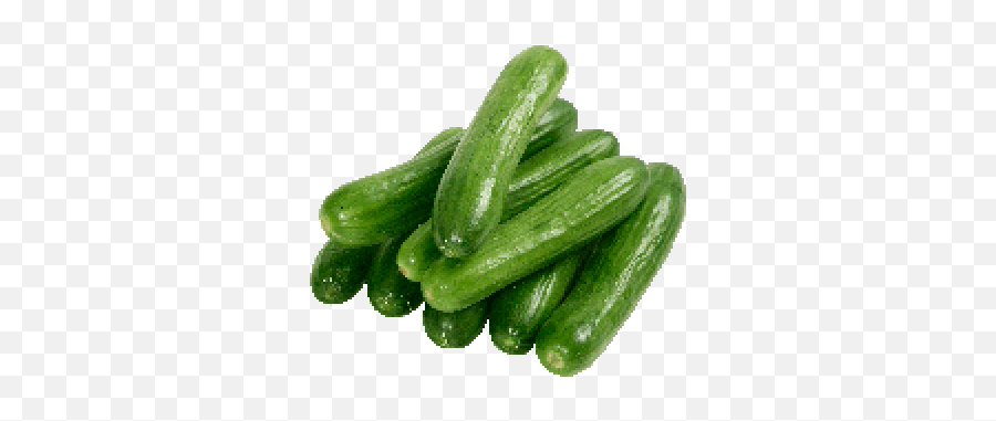 Cucumber Png And Vectors For Free Download - Khira Vegetable Emoji,Cucumber Emoji