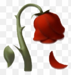Emoji Rose Red Dlower Wiltedflower Wilted Dead Deadflow - Dead Rose Emoji Transparent,Wilted Flower Emoji