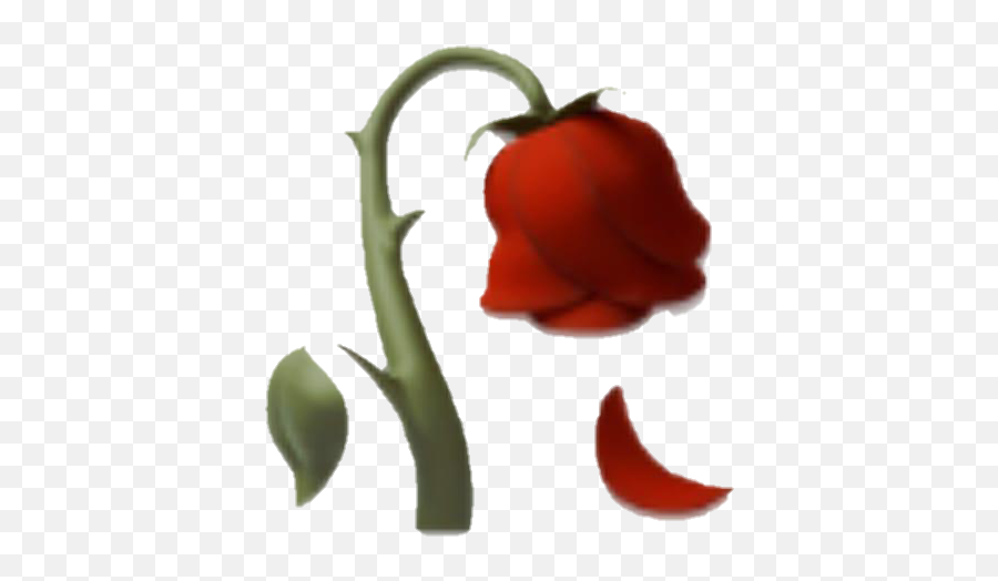 Emoji Rose Red Dlower Wiltedflower Wilted Dead Deadflow - Dead Rose Emoji Transparent,Wilted Flower Emoji