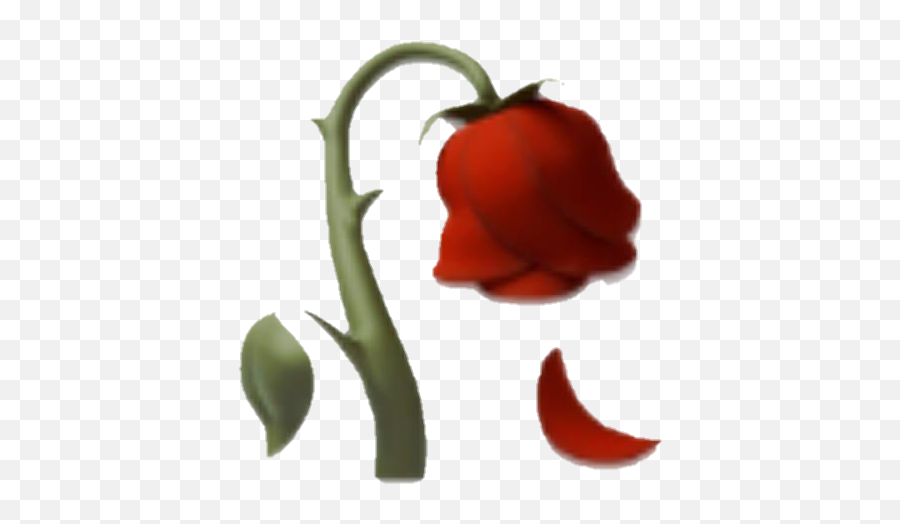 Emoji Rose Red Dlower Wiltedflower Wilted Dead Deadflow Dead Rose 