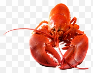Lobster Png Transparent Image - Transparent Background Lobster Png Emoji,Lobster Emoji