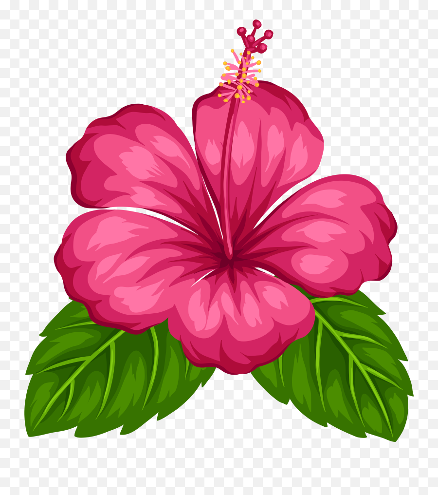 Emoji Clipart Flower Emoji Flower Transparent Free For,Cherry Blossom Emoji