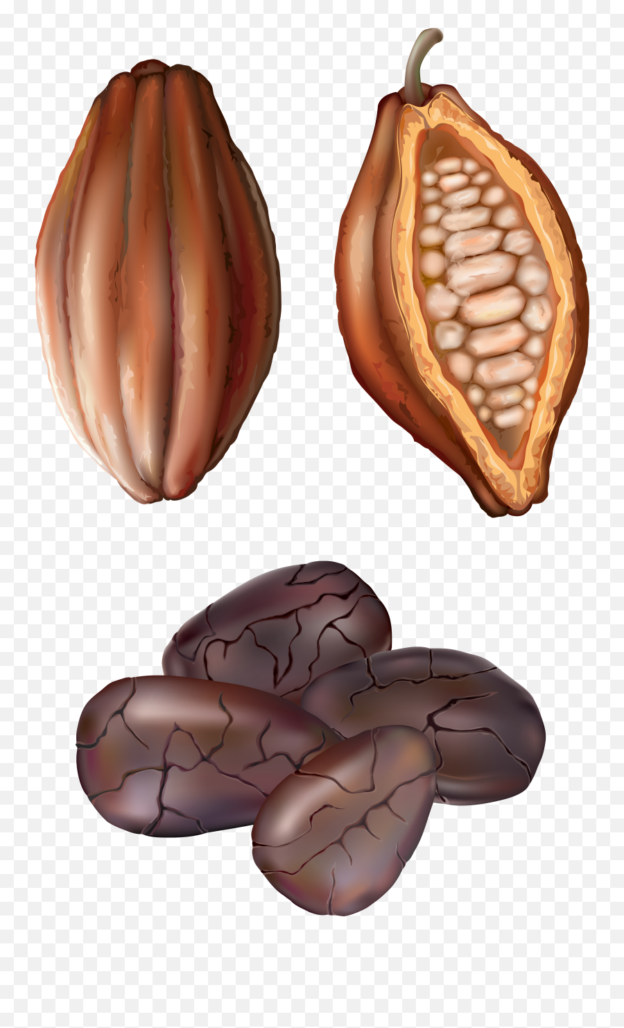 Nuts Clipart Metal Nut Nuts Metal Nut - Cocoa A Nut Or Bean Emoji,Nuts Emoji